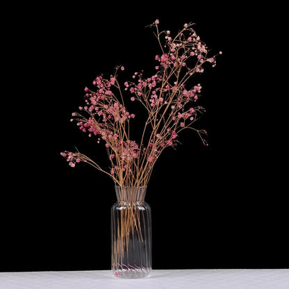 1pc Nordic Creative Transparent Vases for Plant Bottle Flower Pot Hydroponic Terrarium Arrangement Container Flower Table Vase