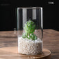 Glass Flower Vase desk decoration Modern Small Cylinder Flower Centerpiece Vases for Home Office Wedding Table